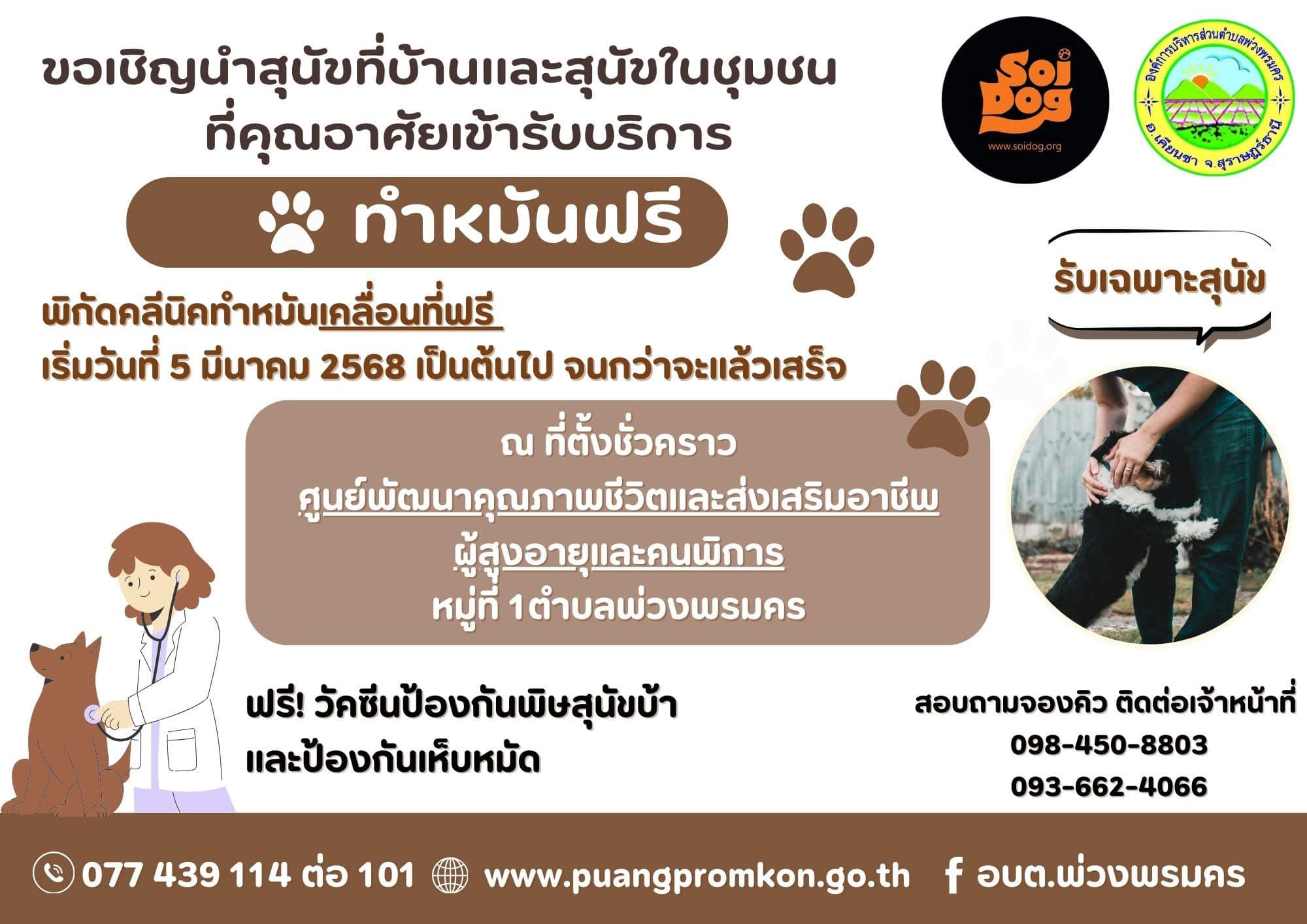 "มูลนิธิเพื่อสุนัขในซอย ออกให้บริการทำหมันน้องหมาฟรี"